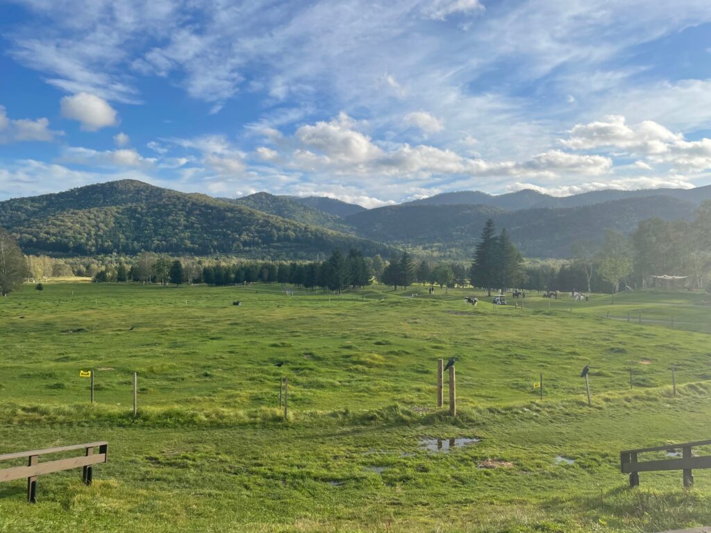 夏の風景